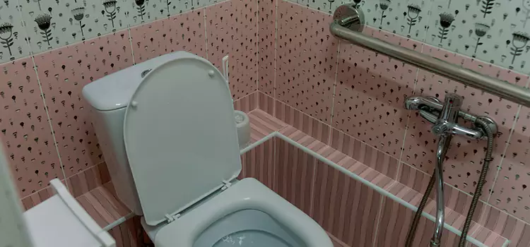 Meeting Diverse Needs With Accessible Restroom Solutions in Pflugerville, TX